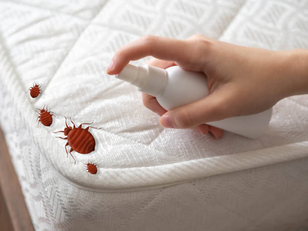 Emergency Pest Control Services in Hoboken, NJ